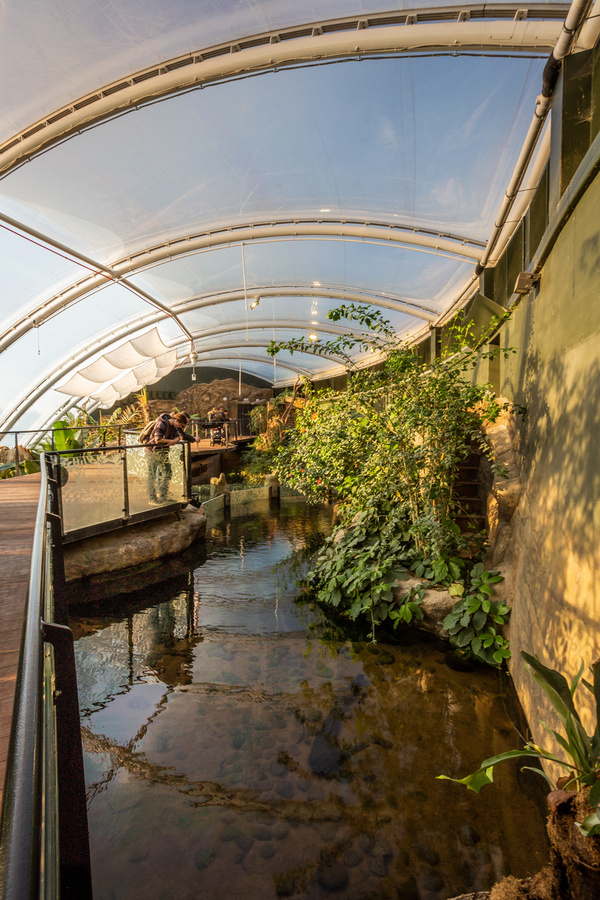 Tropical House at Marwell Zoo 170119 003