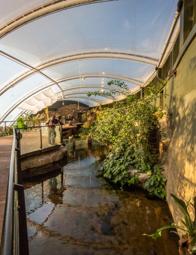 Tropical House at Marwell Zoo 170119 003