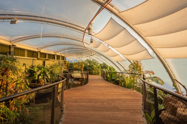 Tropical House at Marwell Zoo 170119 008