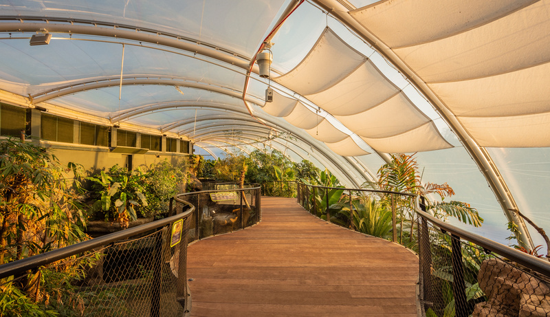 Tropical House at Marwell Zoo 170119 008