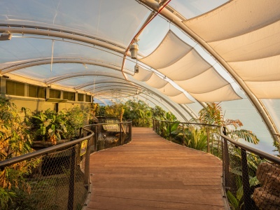 Tropical House at Marwell Zoo 170119 008