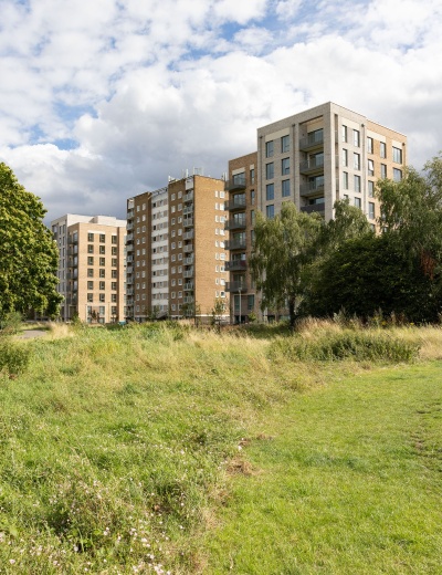 Frank Towell Court 50 portrait